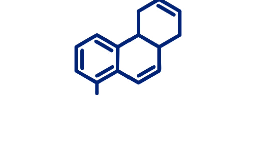 add2-bck-150x150-3-2